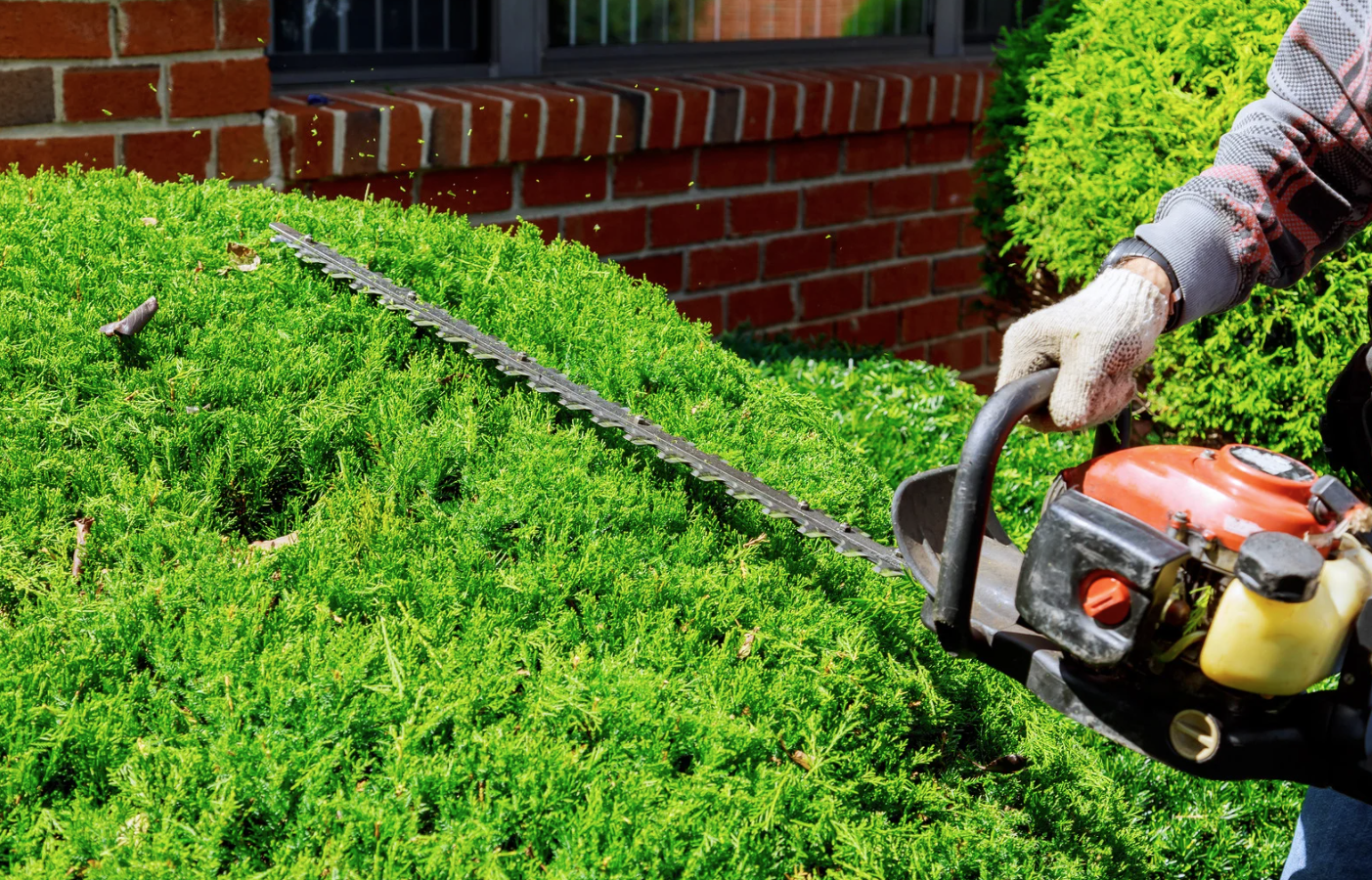 Bowral Mowers
