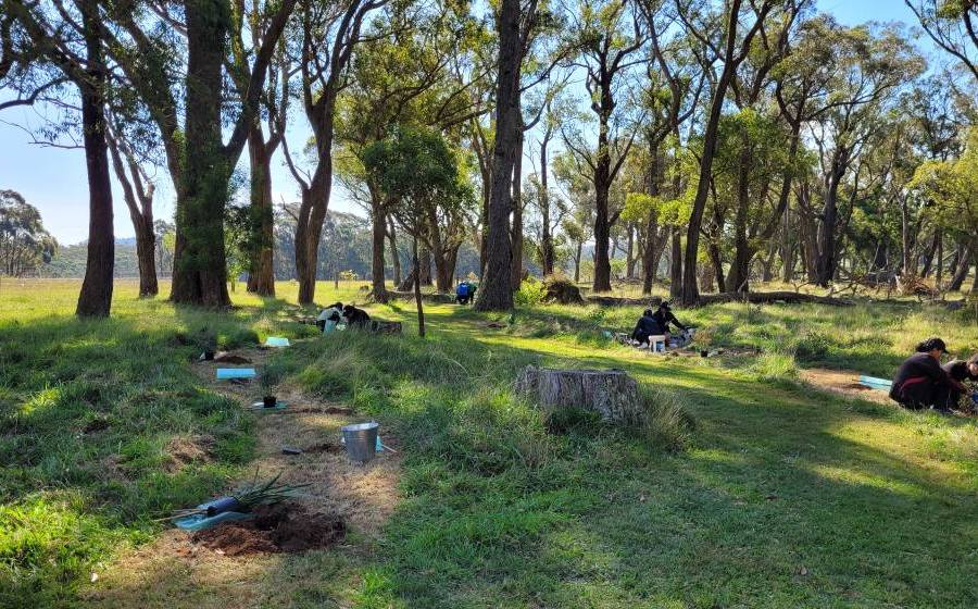 The current image has no alternative text. The file name is: 764-Nowra-Rd-Moss-Vale.jpg